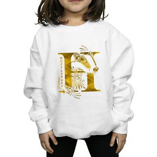 Harry Potter  Hufflepuff Sweatshirt 