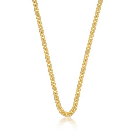 MUAU Schmuck  Collier Rundanker Gelbgold 750, 3.1mm, 50cm 