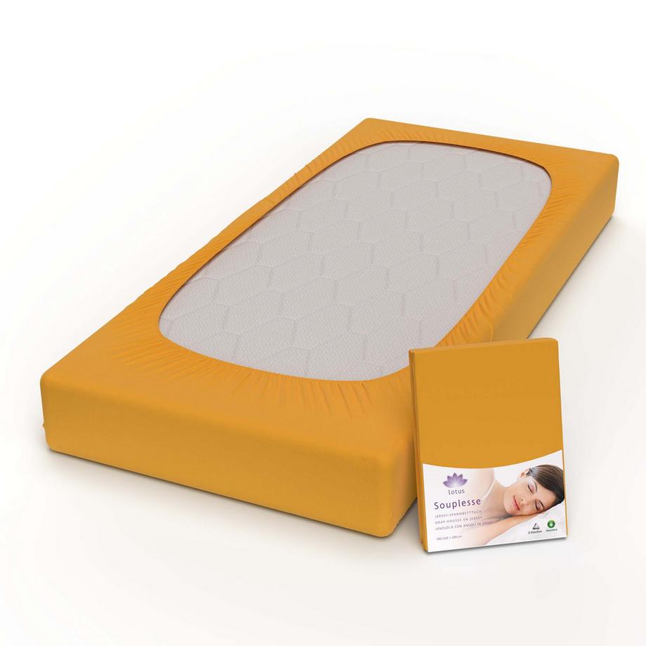 Lotus Bettwaren Souplesse Jersey Fixleintuch  