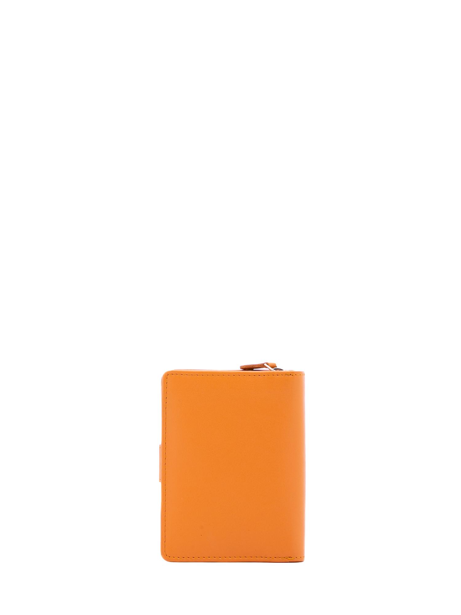 Sergio Valentini Portafoglio  