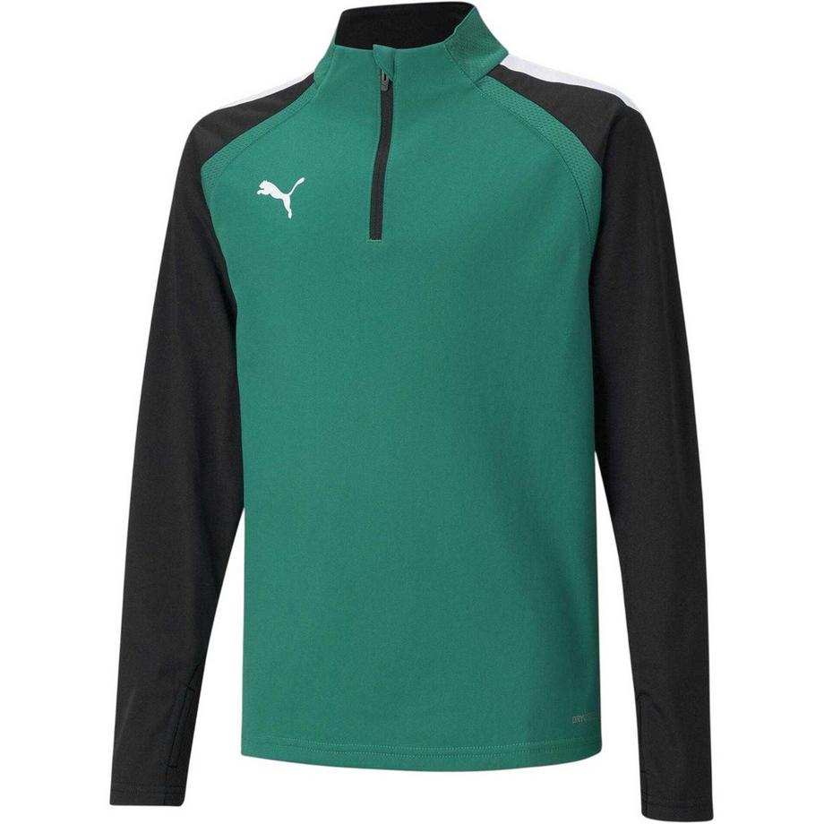 Haut Polaire Teamliga