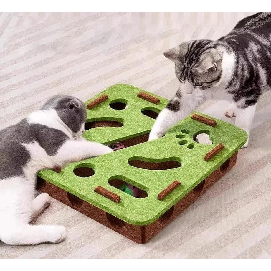 Alopini  Jouets de Puzzle de Chat, Jouet d'exercice de Chat de boîte de Puzzle de feutre, avec des jouets de Chat de Chasse de divertissement Sportif d'intérieur de boule pour des chats d'intérieur 