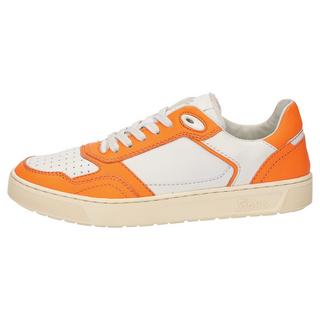 Sioux  Sneaker Tedroso-DA-700 