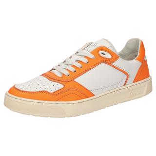 Sioux  Sneaker Tedroso-DA-700 