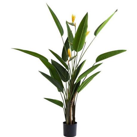 KARE Design  Pianta decorativa Paradise Flowers 190cm 