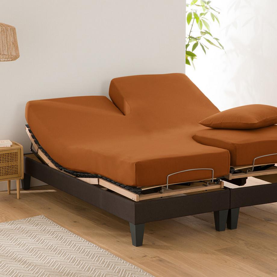 La Redoute Intérieurs Drap housse jersey Scenario pour lits doubles articulés  