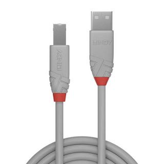 LINDY  36681 USB Kabel 0,5 m USB 2.0 USB A USB B Grau 