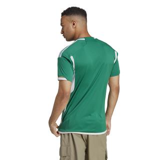 adidas  aglia away algérie can 2023 