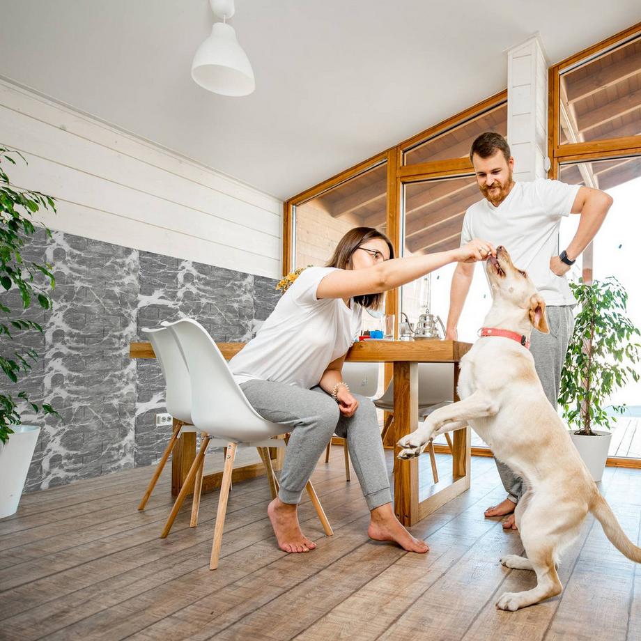 B2X  Dekorplast Marmoroptik 10er-Set 