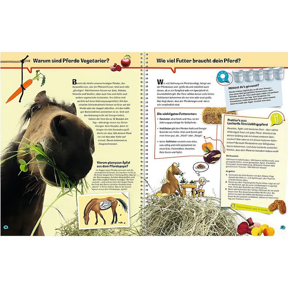 Wieso? Weshalb? Warum? ProfiWissen, Band 4: Pferde Schwendemann, Andrea; Mähler, Maria (Illustrationen); Spiegelhauer, Billa (Illustrationen) Couverture rigide 