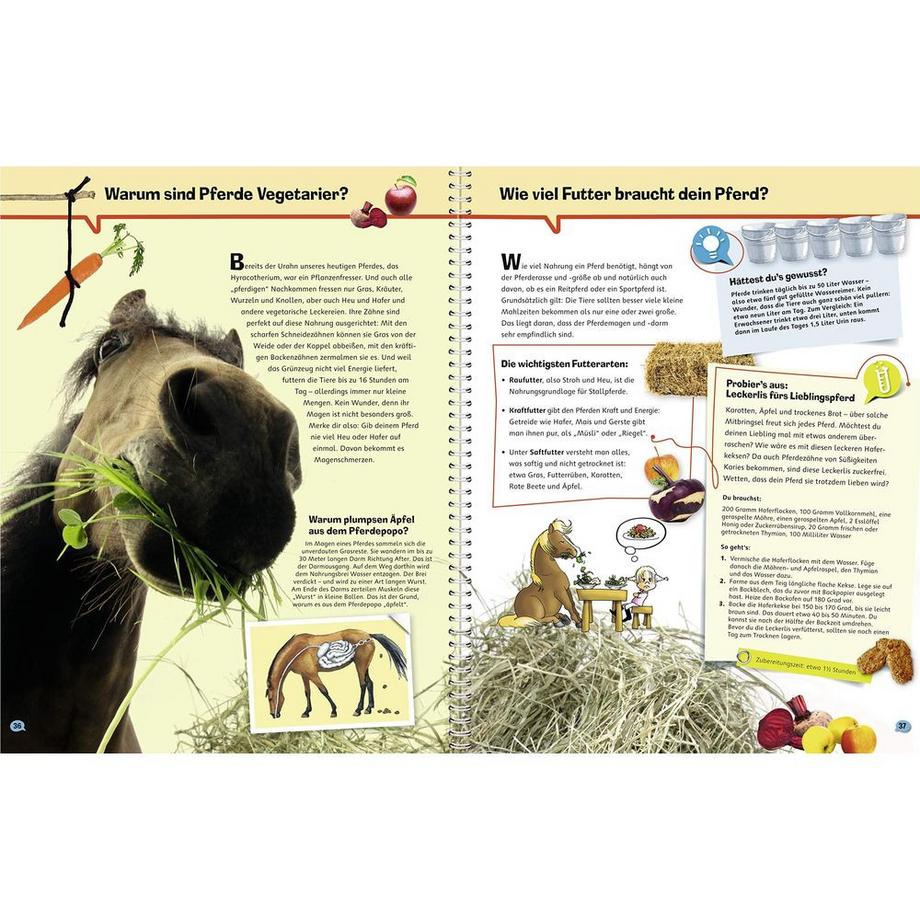 Wieso? Weshalb? Warum? Pferde (Nr.4) Schwendemann, Andrea; Mähler, Maria (Illustrationen); Spiegelhauer, Billa (Illustrationen) Copertina rigida 