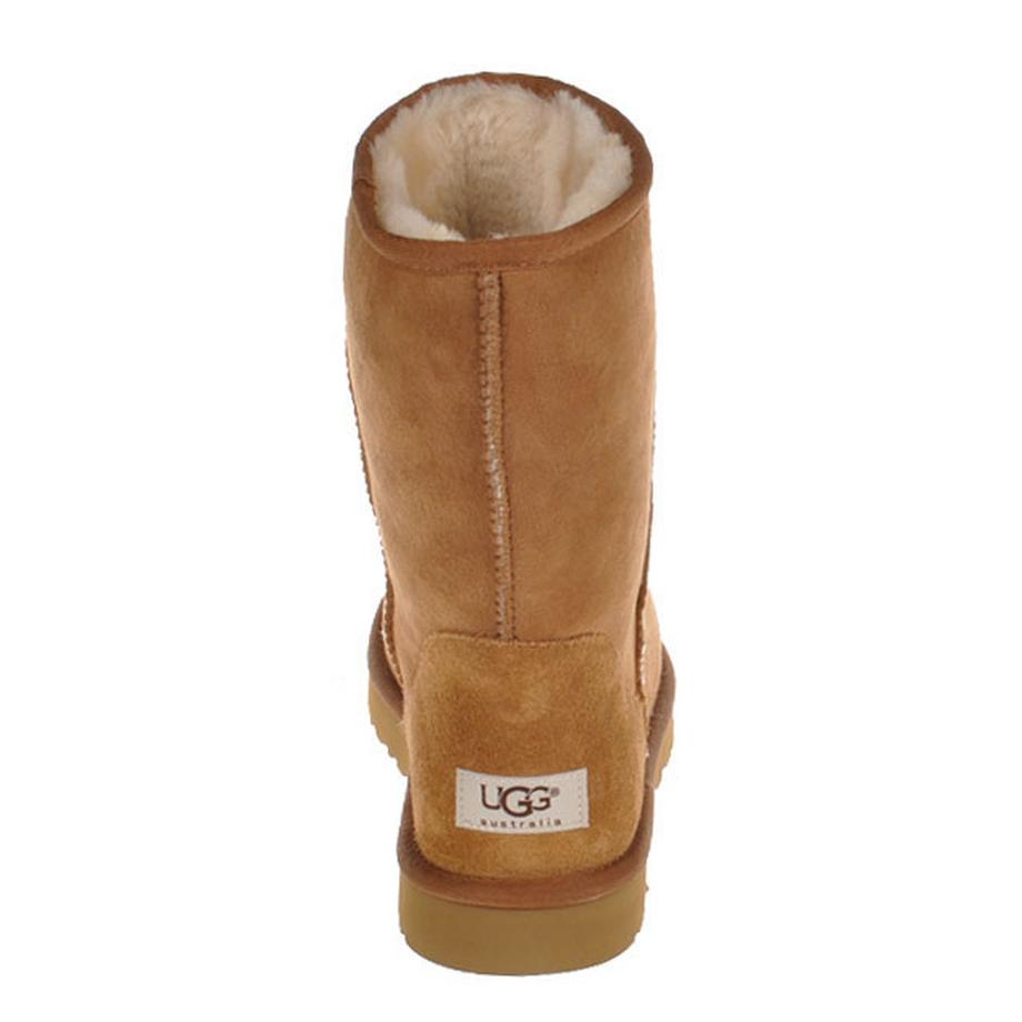 UGG Classic Short Stiefel Chestnut  