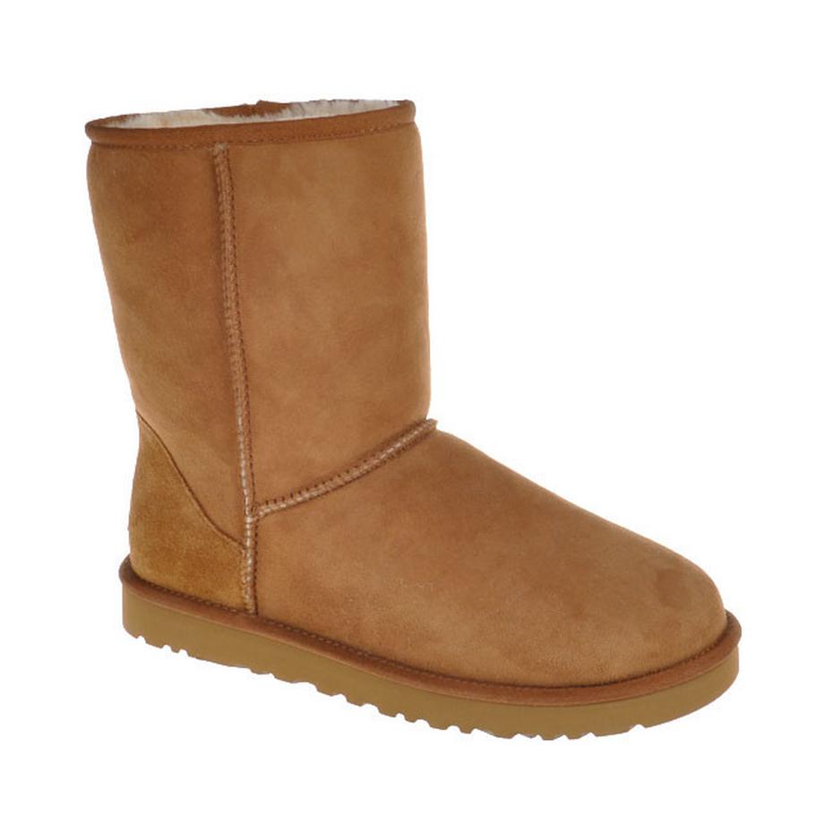 UGG Classic Short Stiefel Chestnut  