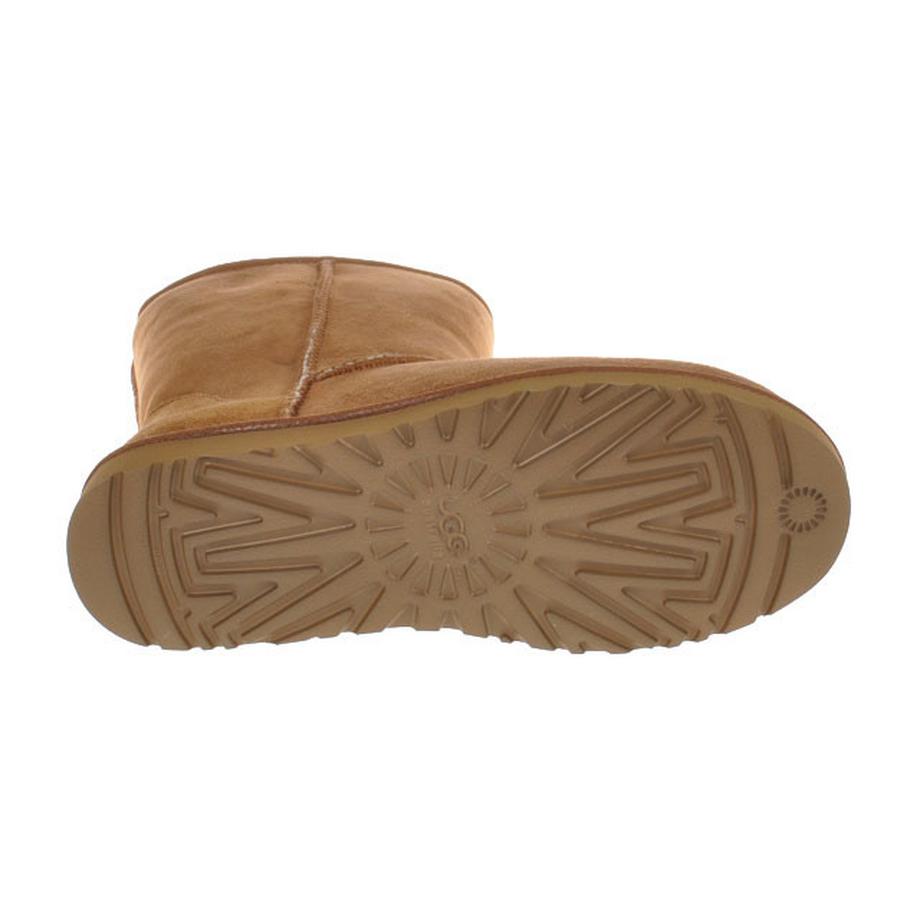 Classic Short Chestnut-48.5