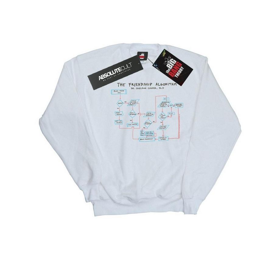 Friendship Algorithm Sweatshirt