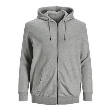 Sweatshirt zippé à capuche grande taille  Basic Gris