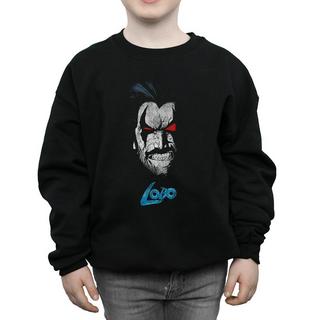 DC COMICS  Sweatshirt 