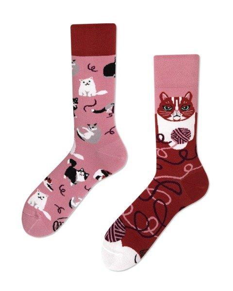 Many Mornings  Playful Cat Socks - Many Mornings 