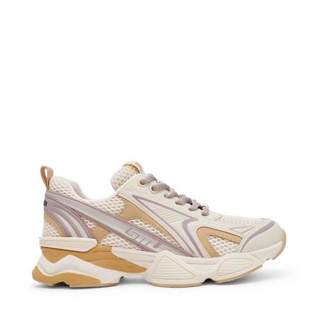 STEVE MADDEN  sneakers da speedster-e 