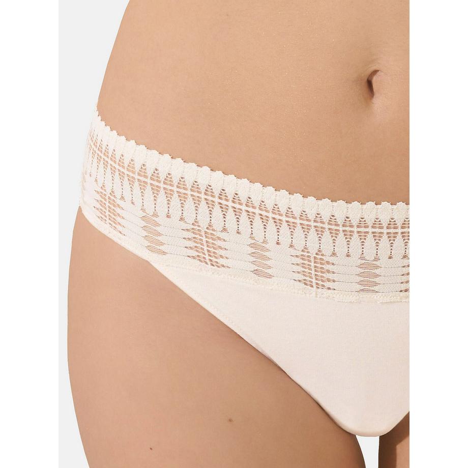 Lisca Ophelia Brasiliana  