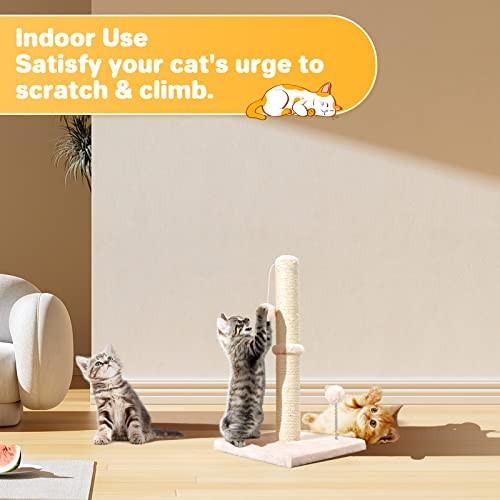Alopini  Kratzbaum für Katzen 