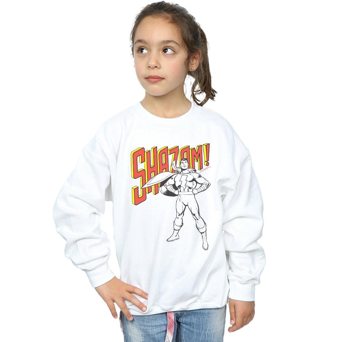 DC COMICS  Sweatshirt 