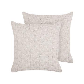 Lot de 2 coussins décoratifs en Polyester Rustique BASALIM