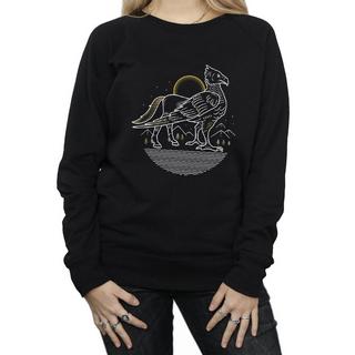 Harry Potter Hippogriffe Sweatshirt Imprimé  