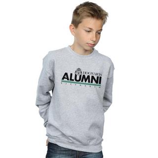 HARRY-POTTER  Hogwarts Slytherin Sweatshirt 