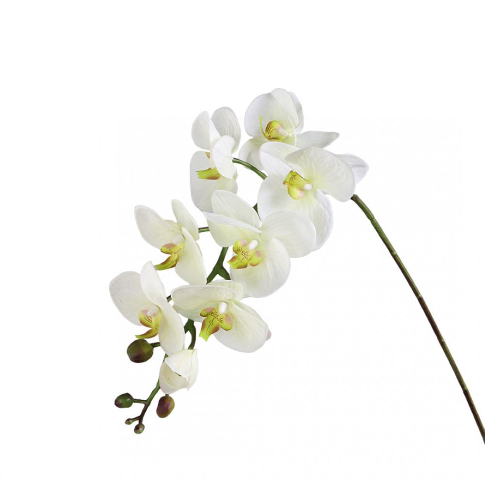 Aulica DEKORATIVE BLUME WEISSE ORCHIDEE H100CM  