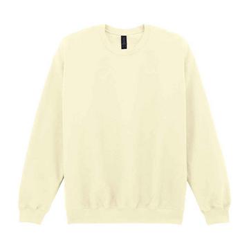 Softstyle Sweatshirt