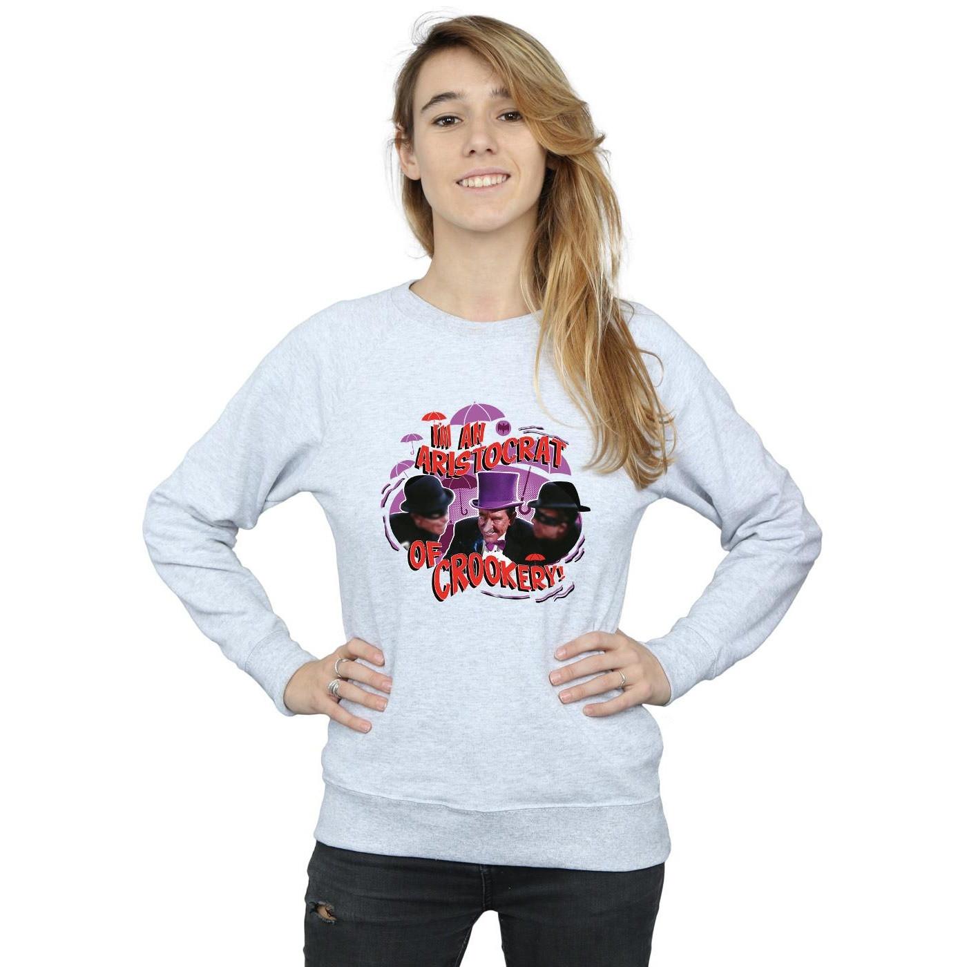 DC COMICS  Sweatshirt 