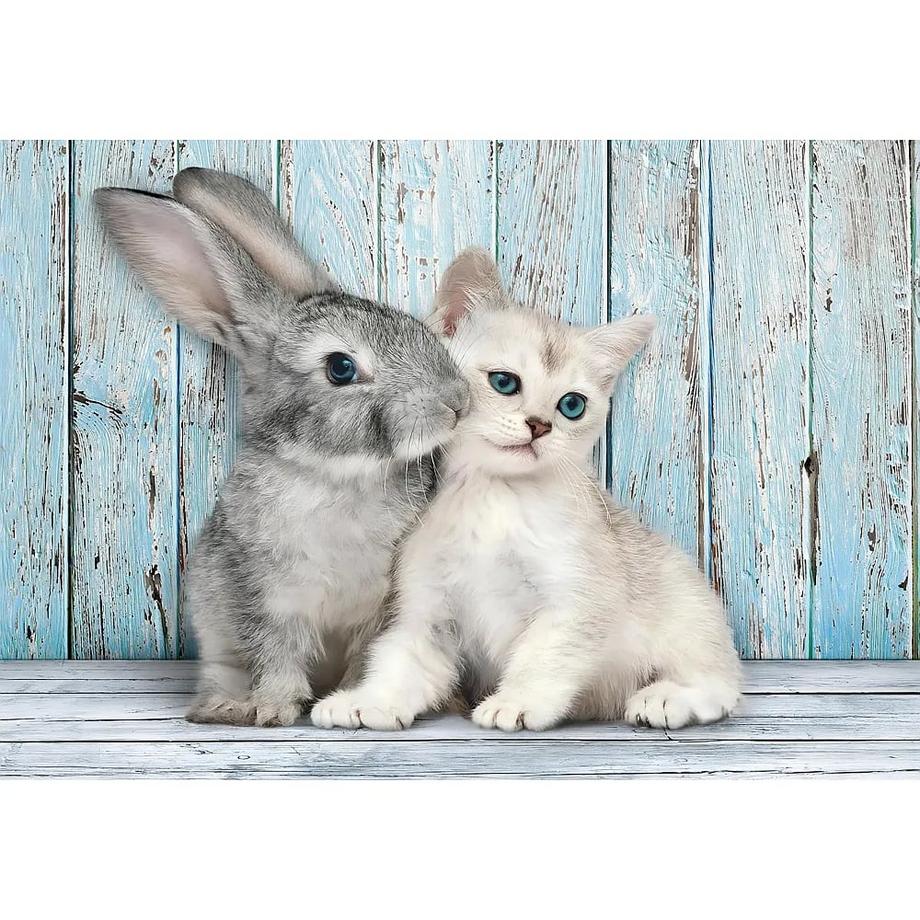 Clementoni  Cat and Bunny 