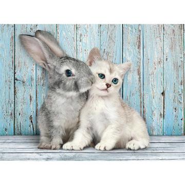 Cat and Bunny