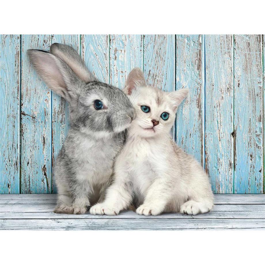 Cat and Bunny