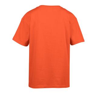 Gildan  SoftStyle TShirt 