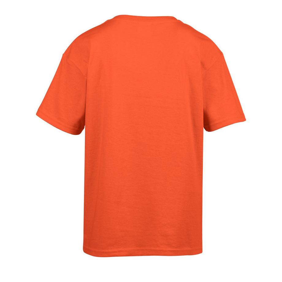 Gildan  SoftStyle TShirt 