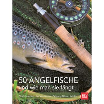 50 Angelfische und wie man sie fängt