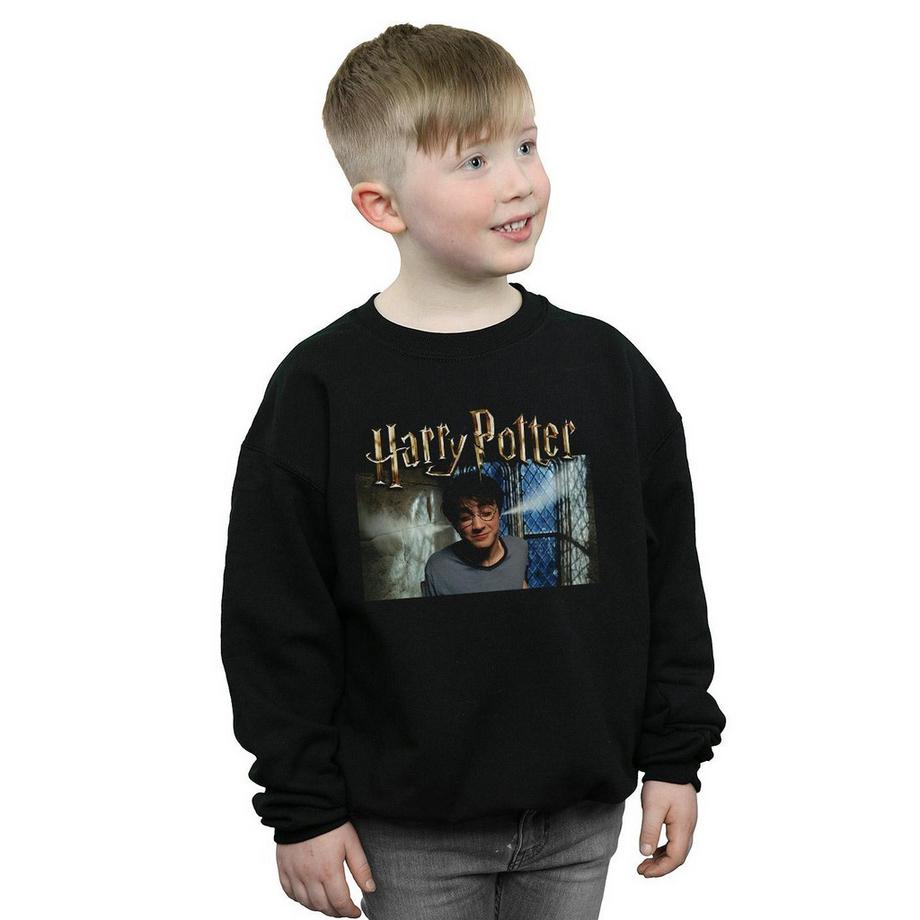 HARRY-POTTER  Sweatshirt 