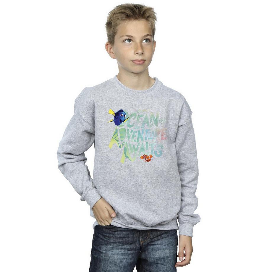 Disney  Finding Dory Ocean Of Adventure Sweatshirt 