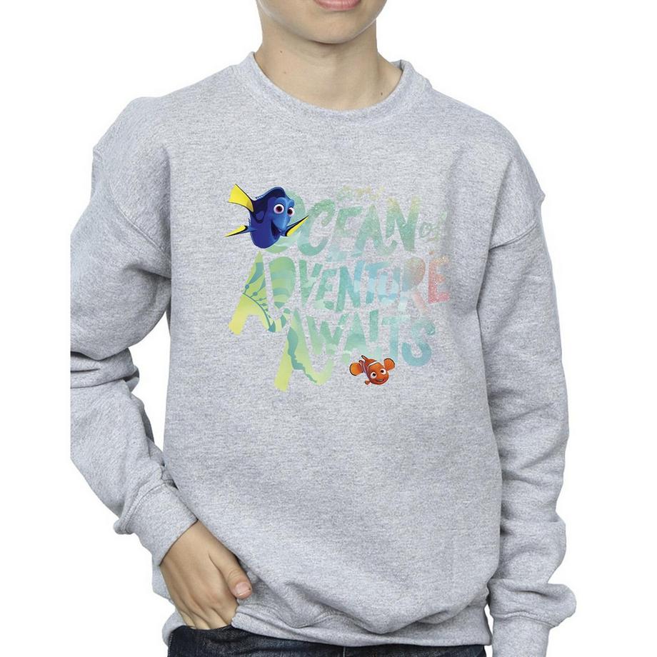 Disney  Finding Dory Ocean Of Adventure Sweatshirt 