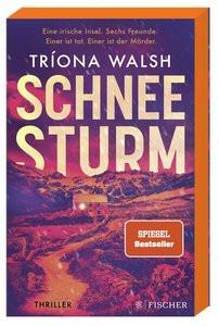 Schneesturm Walsh, Tríona; Schmitz, Birgit (Übersetzung) Gebundene Ausgabe 