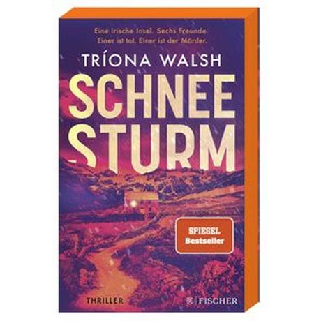 Schneesturm Walsh, Tríona; Schmitz, Birgit (Übersetzung) Gebundene Ausgabe 