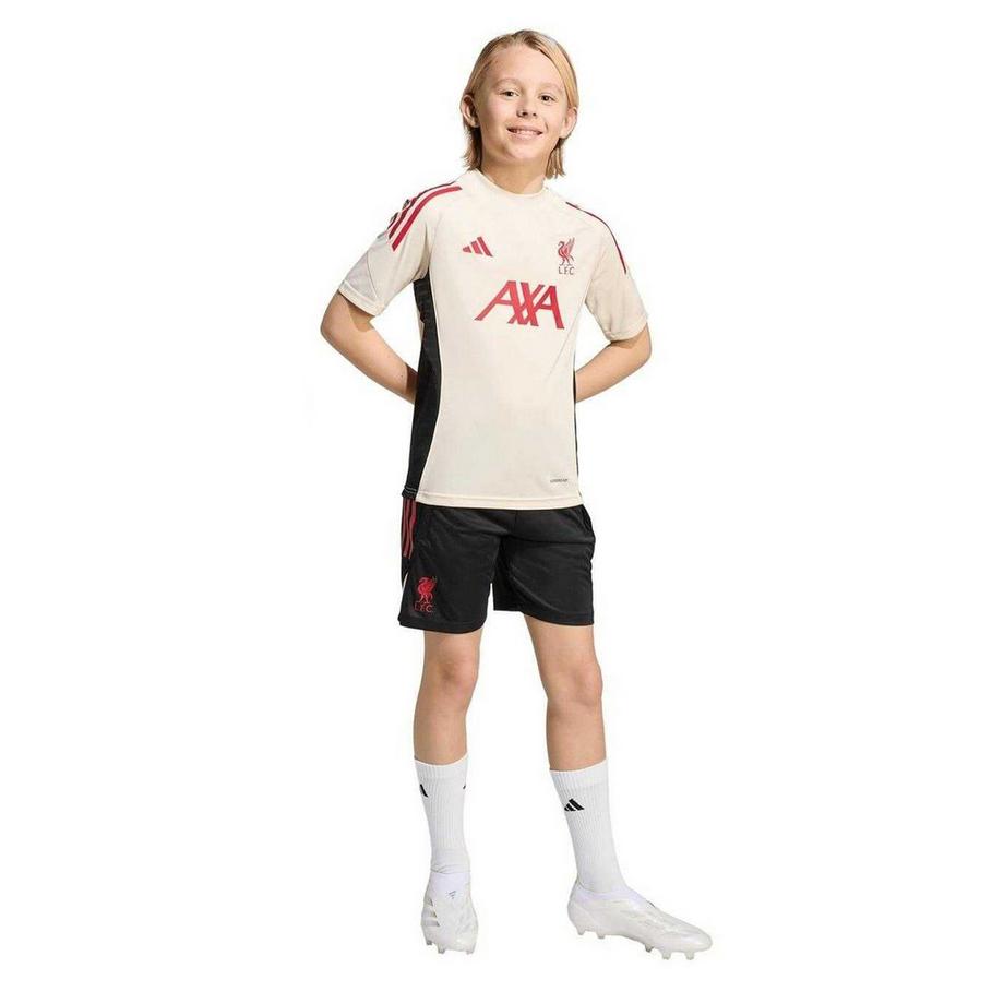 Liverpool F.C.  T-ShirtMotiftyle  2025/2026 