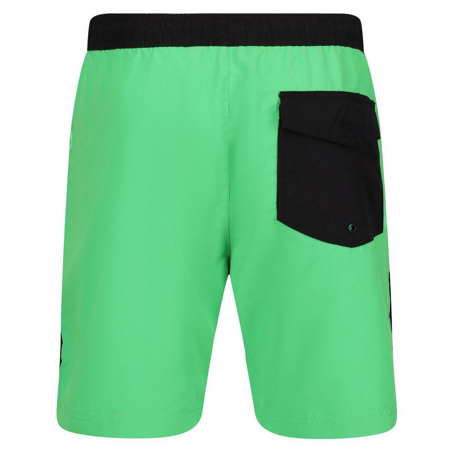 Regatta  Short De Bain Bentham 