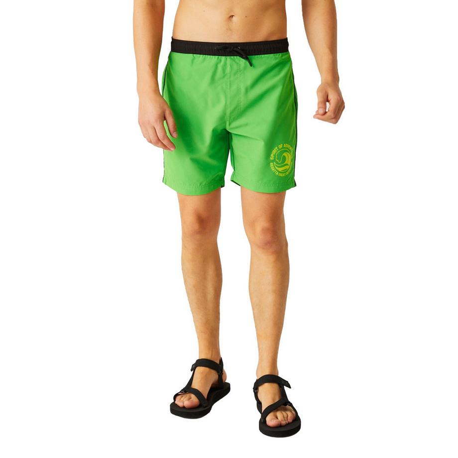 Regatta  Short De Bain Bentham 