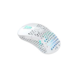 Xtrfy  M4 RGB mouse Mano destra RF Wireless + USB Type-C Ottico 19000 DPI 