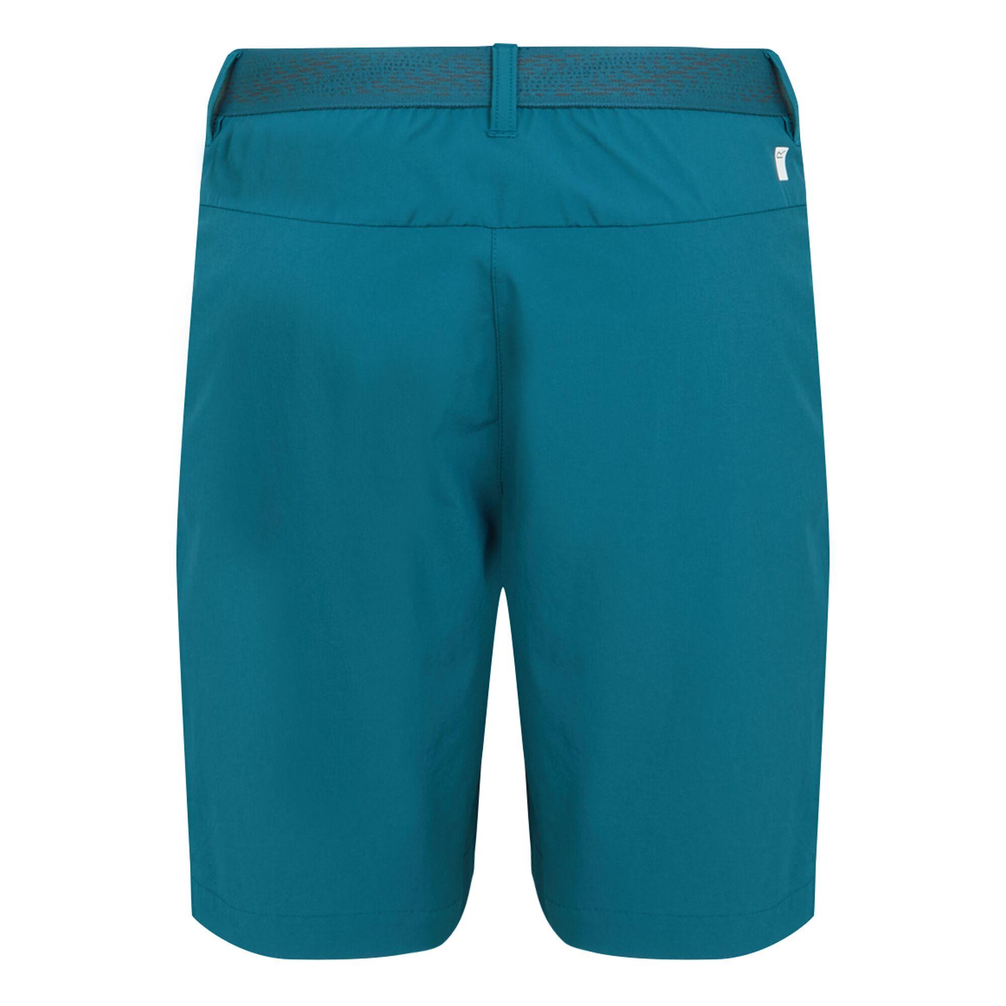 Regatta  Mountain II Shorts 