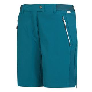 Regatta  Mountain II Shorts 