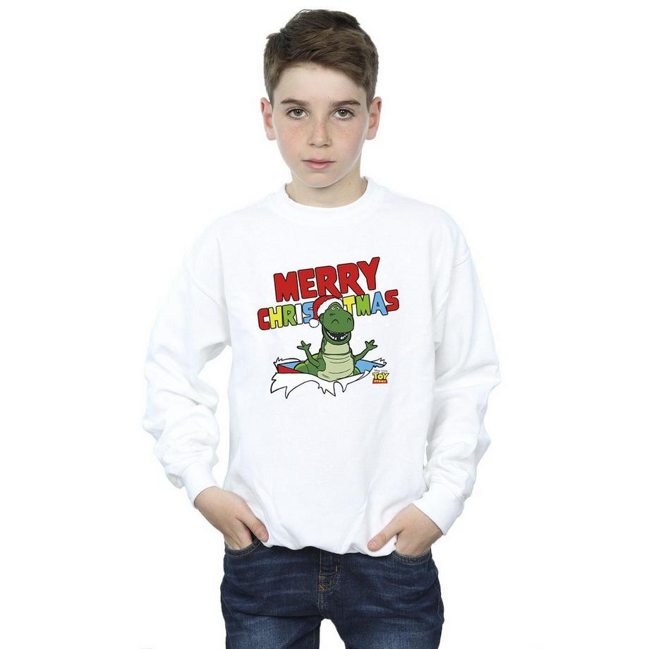 Disney  Toy Story Sweatshirt 
